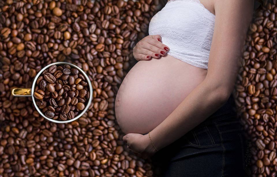 Kaffeebohnen und Schwangerschaft