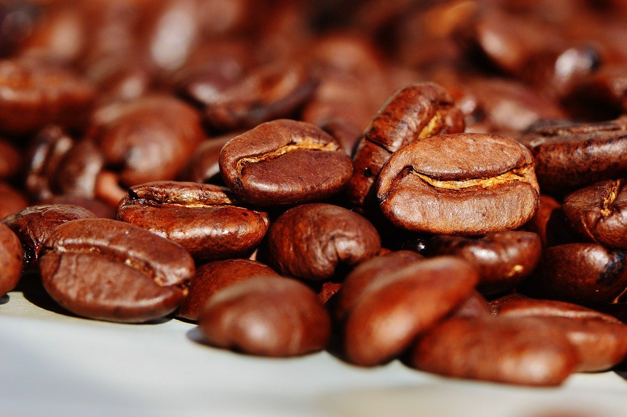 Kaffee auf kleinen Flächen anbauen